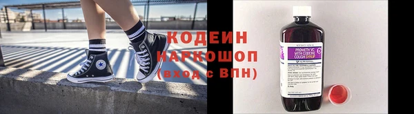 гидра Липки
