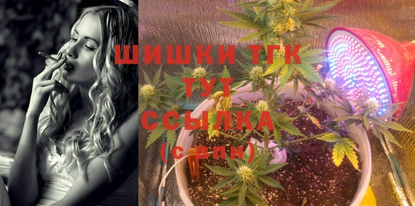гидра Липки
