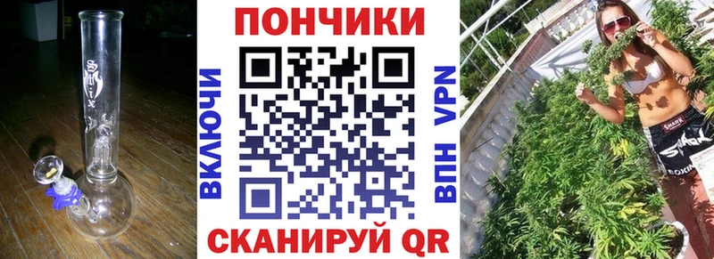 Каннабис сатива mega как войти Ядрин